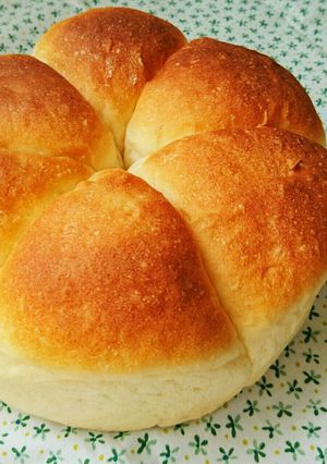 初心者でも出来た！フワフワちぎりパン-レシピのメイン写真