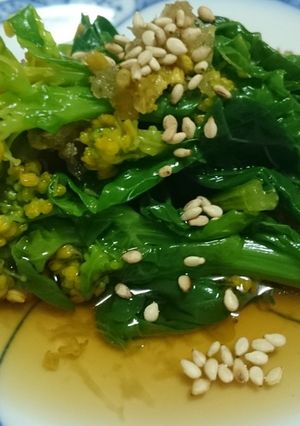 お年寄り絶賛シリーズ❗菜花お浸し❗-レシピのメイン写真