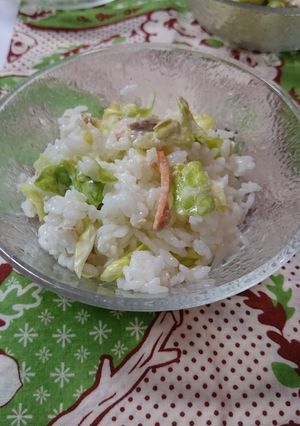 春キャベツとツナのさっぱり混ぜごはん-レシピのメイン写真