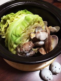 キャベツとあさりの酢醤油蒸し-レシピのメイン写真