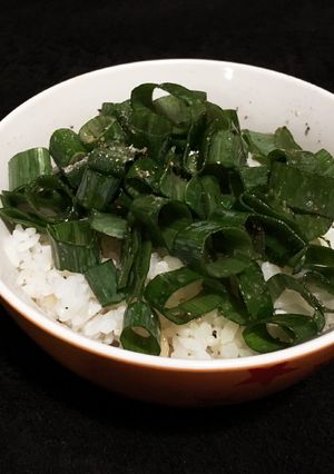 男のネギ飯-レシピのメイン写真