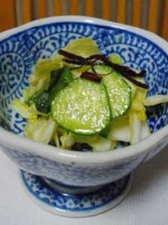浅漬け:簡単!キャベツのサラダ風-レシピのメイン写真