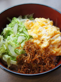 春キャベツ・玉ねぎたっぷりの三色丼-レシピのメイン写真
