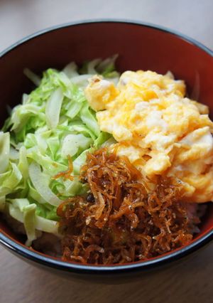 春キャベツ・玉ねぎたっぷりの三色丼-レシピのメイン写真