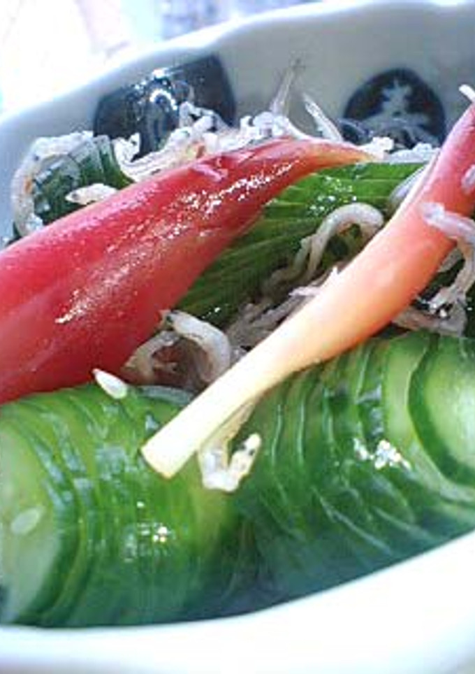 みょうがとじゃこの酢の物-レシピのメイン写真