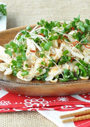 スプラウトと蒸し鶏の押し麦サラダ-レシピのメイン写真