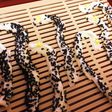 ホワイトデーにチョコうどん!チンアナゴ!