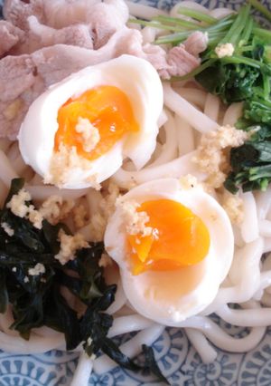 ◆夏バテ解消＊冷やしうどん◆-レシピのメイン写真