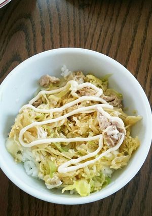 お好み焼きの余り物で♪豚キャベツ丼☆-レシピのメイン写真