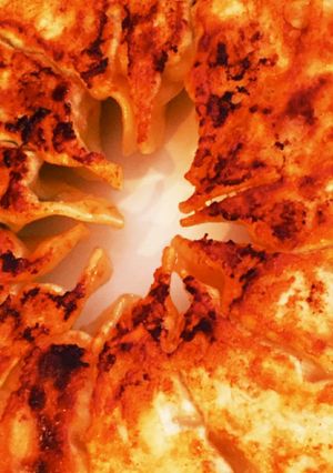 白菜漬物とキャベツの餃子（大葉入り）-レシピのメイン写真