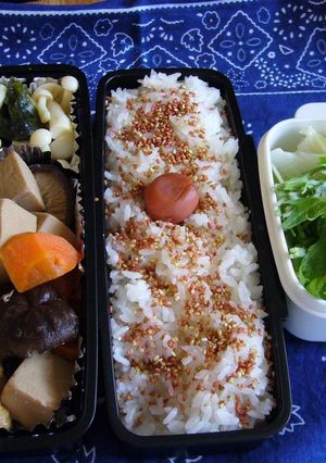 お弁当　5/14-レシピのメイン写真