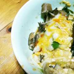 รูปของ ﾀﾞｲｴｯﾄ?豆腐ﾄﾛﾄﾛ葱舞茸ﾁｰｽﾞ