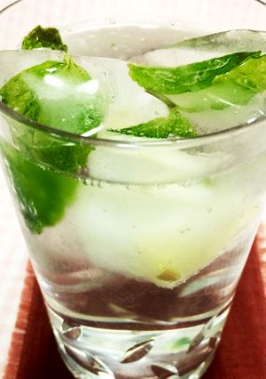 ☆ハーブとレモンキューブの炭酸水☆-レシピのメイン写真
