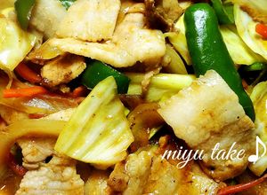 ピーマンと豚肉野菜の中華風炒め♪-レシピのメイン写真