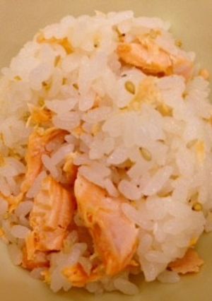 鮭ごはん-レシピのメイン写真