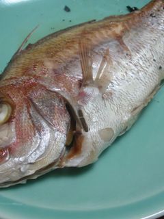 鯛の酒蒸し-レシピのメイン写真