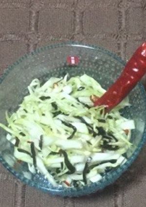 キャベツと塩昆布のおつまみサラダ-レシピのメイン写真