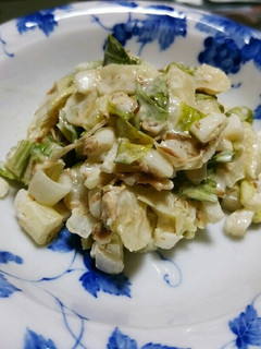 新玉ねぎとセロリの簡単和えサラダ-レシピのメイン写真