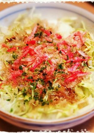 ☆お姉ちゃんのズボラお好み焼き風丼 ☆-レシピのメイン写真
