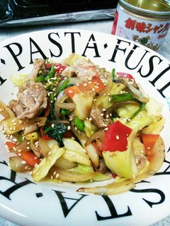 シャンタンで作る野菜炒め☆-レシピのメイン写真