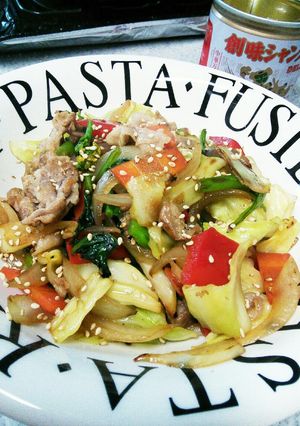 シャンタンで作る野菜炒め☆-レシピのメイン写真