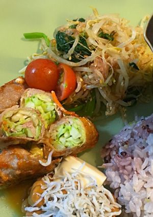 塩もみキャベツの豚巻き-レシピのメイン写真