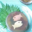 ☆小さな水族館☆