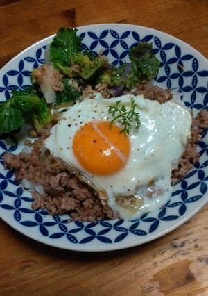 ただの塩コショウ味豚ミンチのっけ丼-レシピのメイン写真