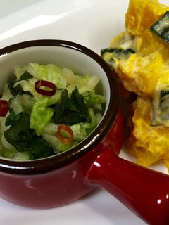 簡単‼白菜の浅漬け-レシピのメイン写真