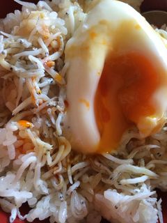 簡単!しらす丼-レシピのメイン写真