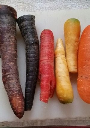 彩り人参と野菜の千切りサラダ-レシピのメイン写真