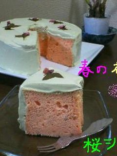 ふんわり桜シフォンケーキ♪with抹茶-レシピのメイン写真