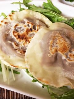 カレーをリメイク☆カレーのラビオリ風-レシピのメイン写真