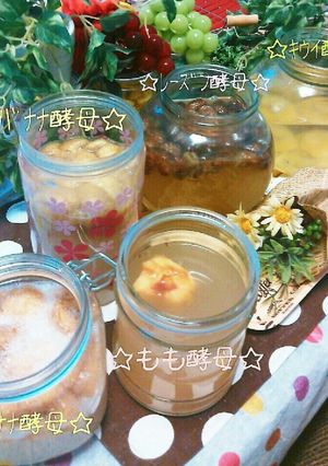 自家製天然酵母ちゃん♪-レシピのメイン写真