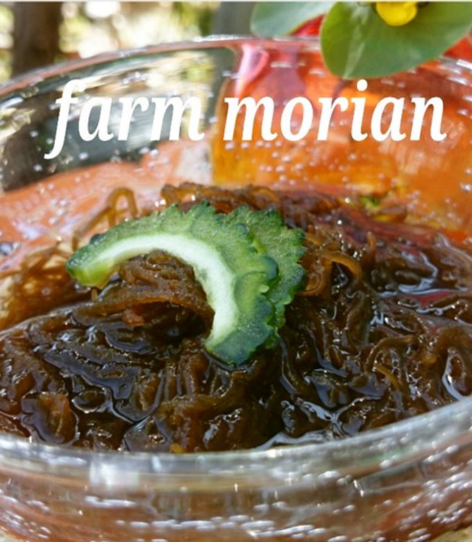 毎日食べたい沖縄の海♪もずく酢 by もりあん農園 【クックパッド