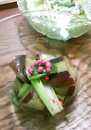 ナスの中華和え-レシピのメイン写真
