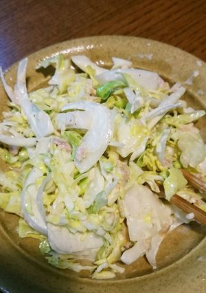 新玉ねぎとキャベツのサラダ-レシピのメイン写真