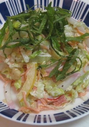 不思議食感・簡単冷蔵庫整理サラダ^^；-レシピのメイン写真