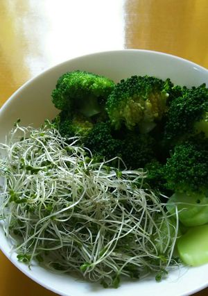 超～簡単♪茹でただけ♪ブロッコリーサラダ-レシピのメイン写真