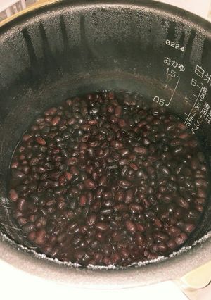 炊飯器で簡単あんこ作り!覚え書き-レシピのメイン写真