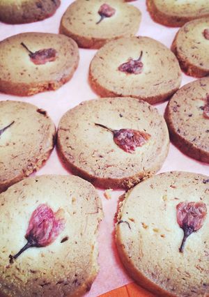 桜のバタークッキー-レシピのメイン写真