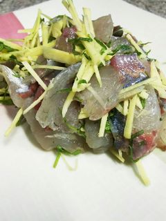 鯵のたたき-レシピのメイン写真