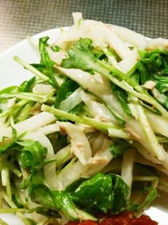 大根と水菜と豆苗のサラダ-レシピのメイン写真