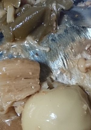 鯖と野菜の圧力鍋味噌煮-レシピのメイン写真