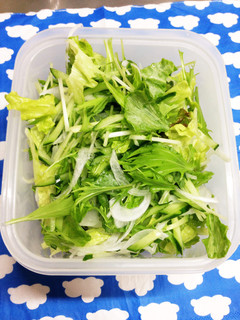 いつでもすぐに♪グリーンサラダ ストック-レシピのメイン写真