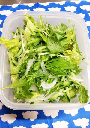 いつでもすぐに♪グリーンサラダ ストック-レシピのメイン写真