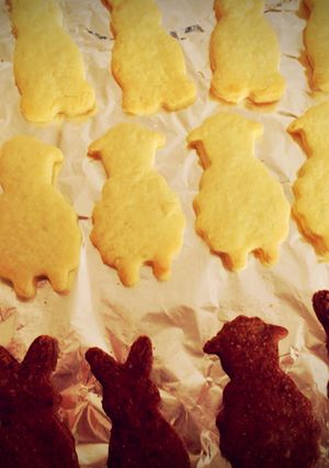 サラダ油で！サクサククッキー-レシピのメイン写真