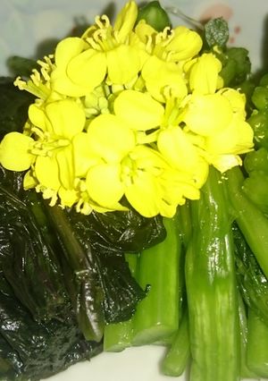 お年寄り絶賛シリーズ❗からし菜❗-レシピのメイン写真
