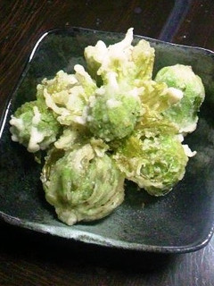 ふきのとうの天ぷら-レシピのメイン写真