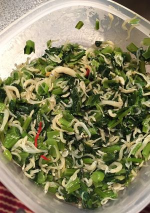 しらすのうまみ栄養たっぷり♪常備菜-レシピのメイン写真